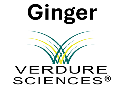 images/glproducts_products/Ginger_Logo_New.PNG