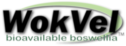 WokVel™