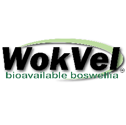 images/glproducts_products/Wokvel_Logo_AI.png