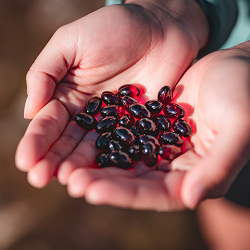 Unlock Benefits of Marine Policosanols & Astaxanthin from  Zooca®