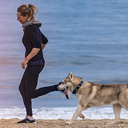 Invest in Joint Support for Humans & Pets with a unique ingredient