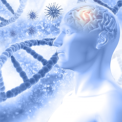 New Study: Witholytin®'s and Mitochondrial Health