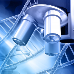 Benicaros®: Expanding Understanding on Gut and Immune Benefits