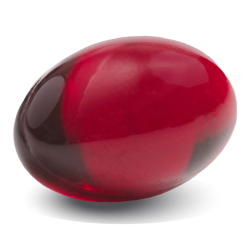 Zooca® Calanus® Oil: The Functional Lipid for the Future