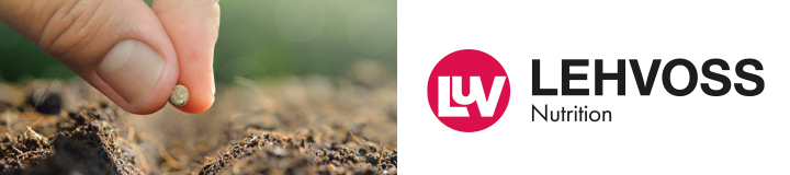 logo Lehvoss